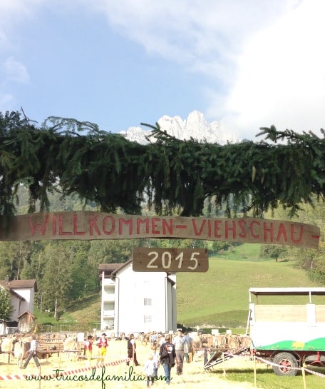 Willkommen Viehschau 2015