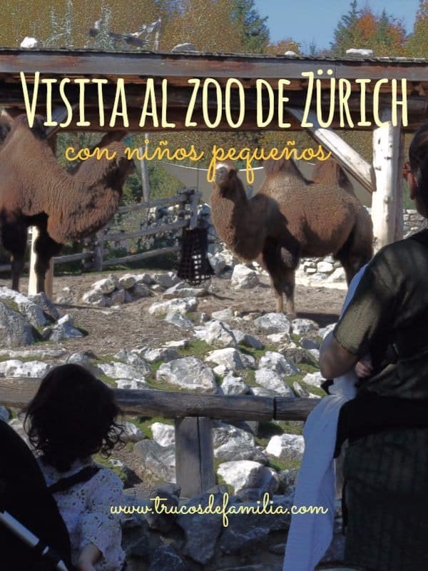 Visita al zoo de zurich