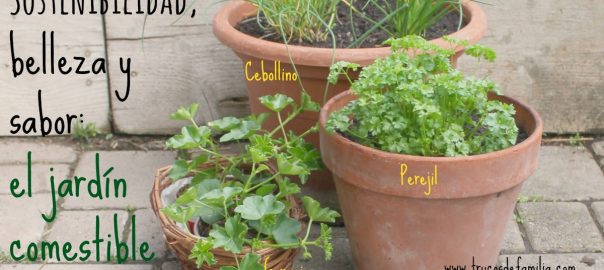 Sostenibilidad belleza y sabor- el jardín comestible